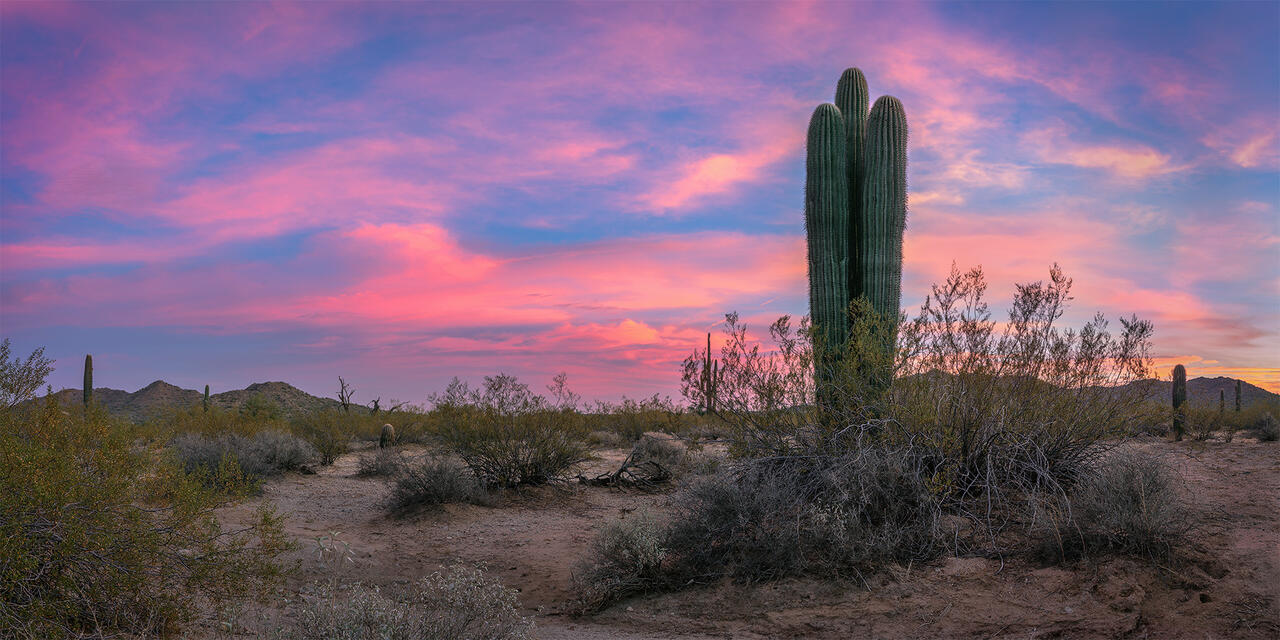 Pastel Horizons print