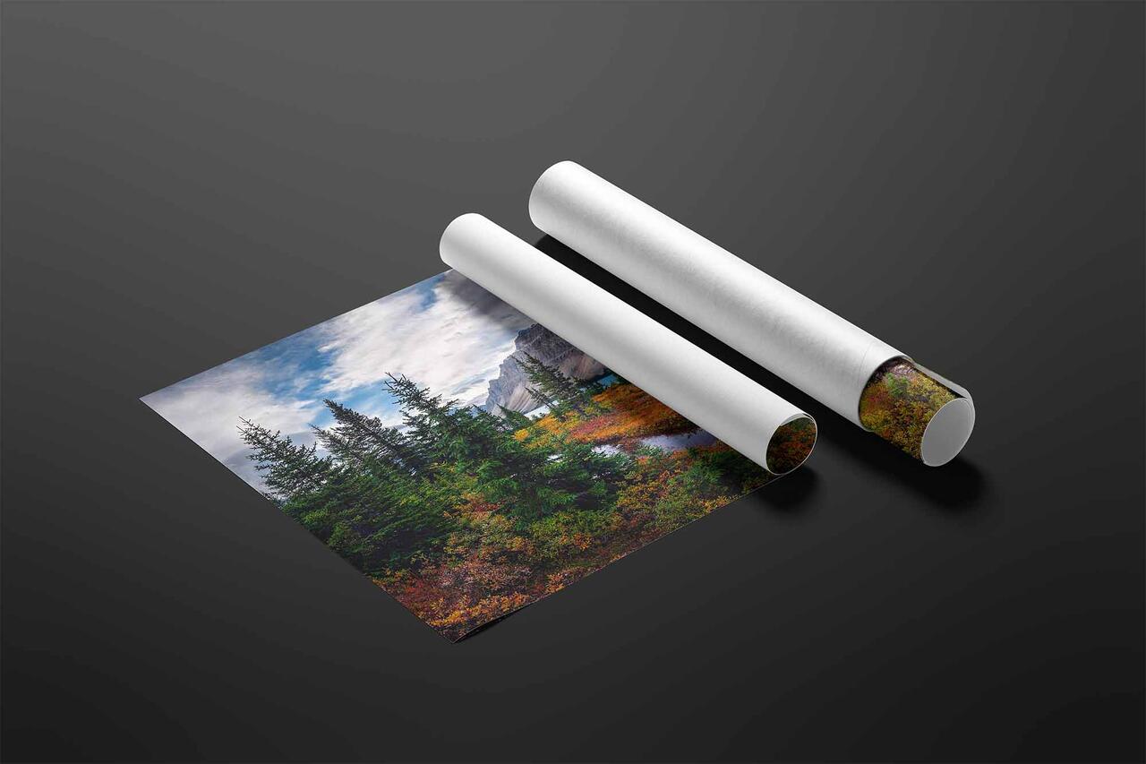 print preview