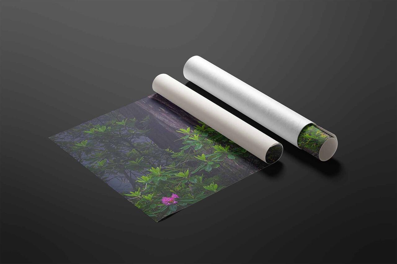  print preview