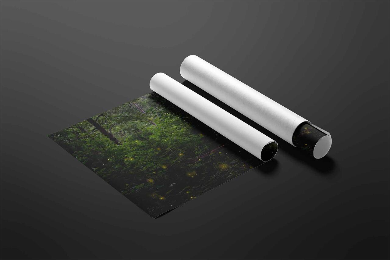  print preview