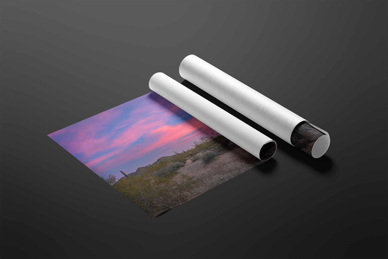  print preview