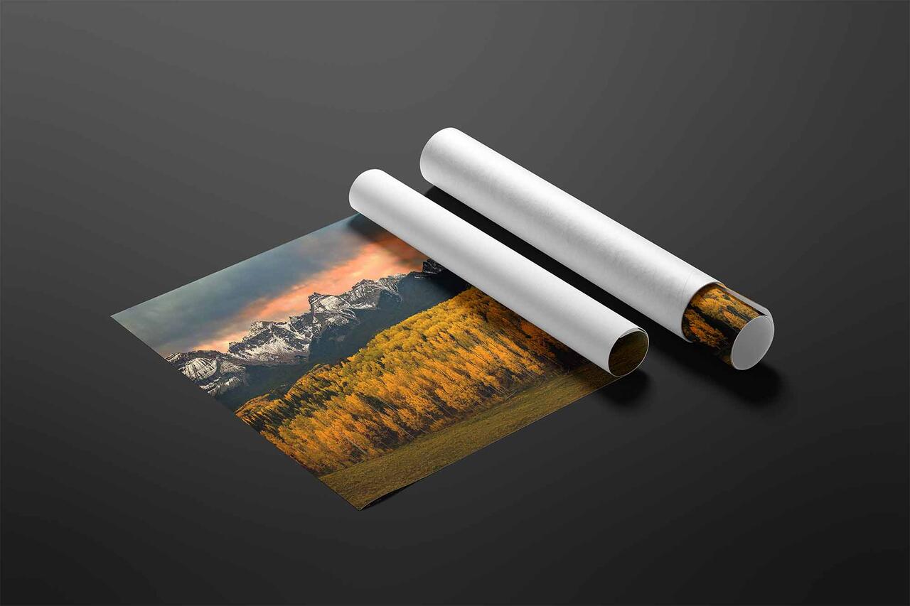  print preview