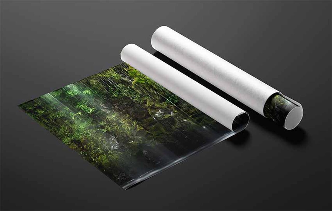  print preview