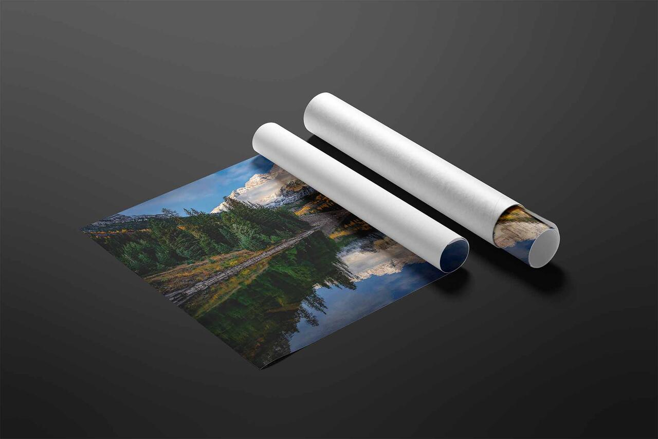  print preview
