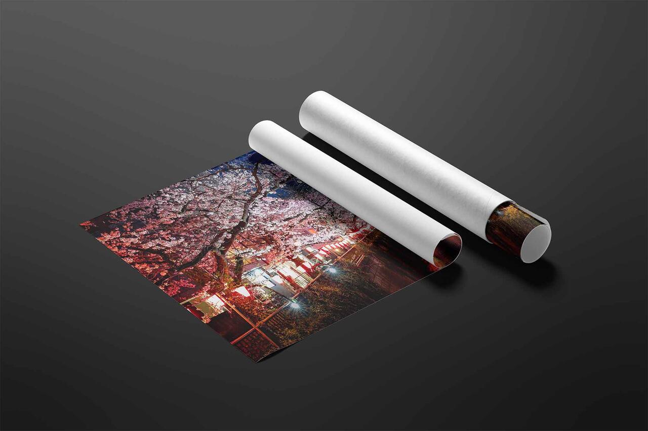  print preview