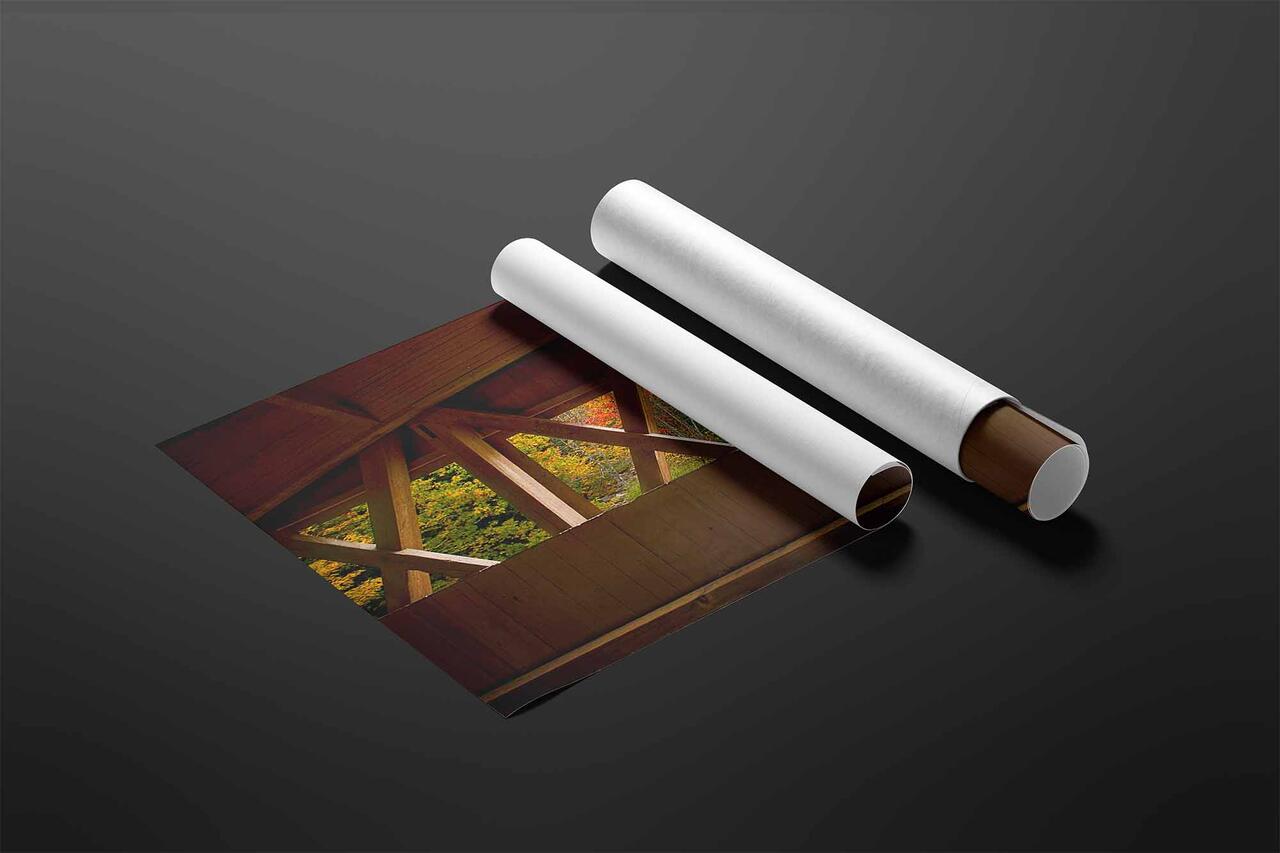  print preview