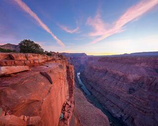 Fine art landscape photograph of the Grand Canyon at sunset from Toroweap Point with sweeping cirrus clouds forming wing shapes in a pink and blue sky, Arizona.