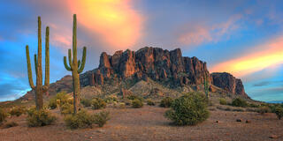 Amidst the vast desert landscape, towering saguaro cacti stand sentinel against a backdrop of majestic mountains bathed in the warm hues of sunset.