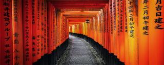 Corridor of vermilion torii gates inscribed with donor names along a stone path at Fushimi Inari Taisha, Kyoto, Japan.
