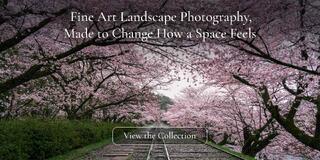 Fine Art Landscape Photography, Made to Change How a Space Feels. Cherry trees in full bloom arching over the old railway tracks of the Keage Incline, Kyoto, JP