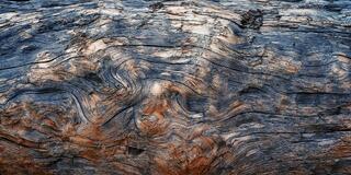 Close-up photograph of weathered driftwood showing swirling wood grain patterns in muted blues, grays, and warm earth tones, revealing layers of texture.