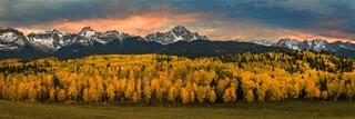 Panoramic autumn landscape of golden aspen trees below Mount Sneffels near Ridgway, Colorado, with snow-capped peaks and a softly glowing sky in the background.