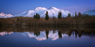 Snow-covered mountain range reflected in a perfectly still lake at blue hour before dawn, with pine trees along the shoreline in New Zealand.