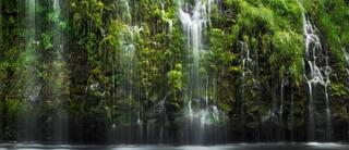 Lush green moss and delicate waterfalls in The Quiet Thinker fine art landscape photograph of Mossbrae Falls