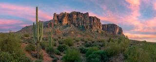 Superstition Mountain at sunset with saguaro cactus in the desert foreground under a pink and violet sky, Lost Dutchman State Park, Arizona.