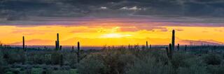 Crepuscular rays over the Phoenix valley at sunset with saguaro cactus and desert scrub in the foreground, Usery Mountains, Arizona.