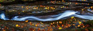 Glen Creek running through a channel in layered rock with fallen autumn leaves scattered across the wet stone, Watkins Glen State Park, New York.