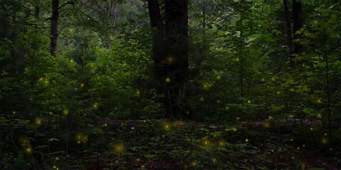 Trees