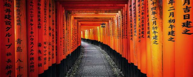Corridor of vermilion torii gates inscribed with donor names along a stone path at Fushimi Inari Taisha, Kyoto, Japan.