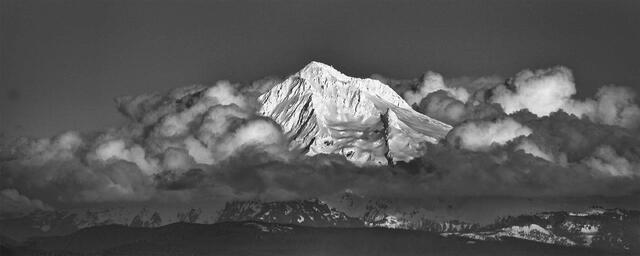 The snow-covered summit of Mount Hood above a band of cloud with forested ridges below, in black and white, Oregon.