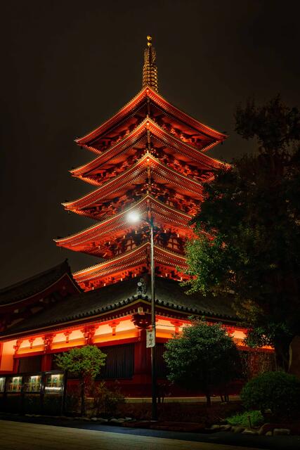 Illuminated multi-tiered temple at night in Tokyo, glowing red against dark sky, framed by trees and quiet courtyard.