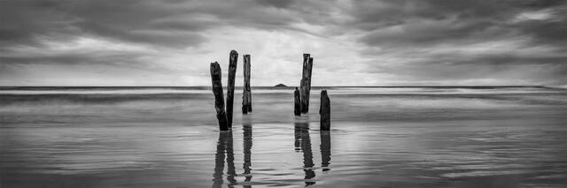 Weathered timber groyne posts standing in still water at St Clair Beach with a small island on the horizon, black and white long exposure, Dunedin, New Zealand.