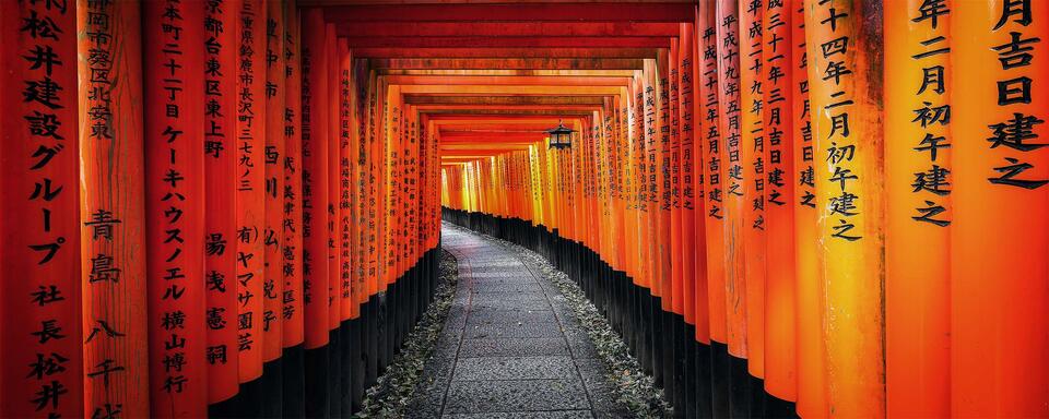 Where Attention Leads: The Quiet Discipline of the Receding Path