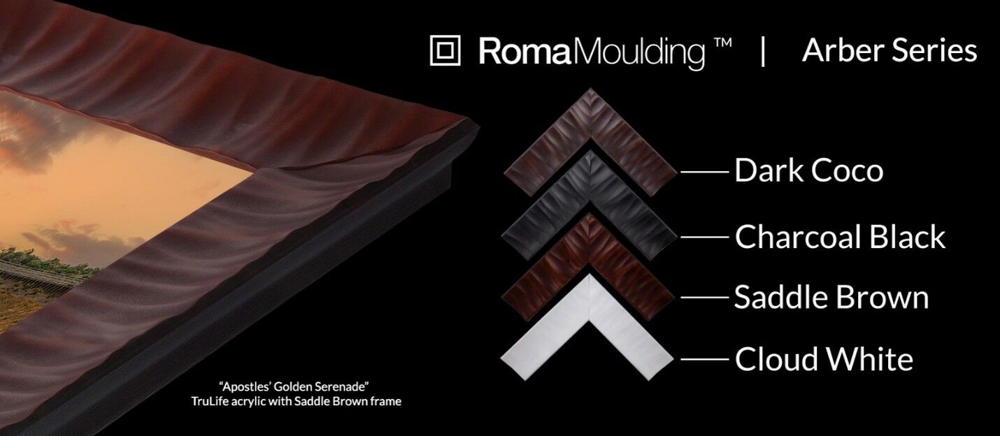 ROMA Arber Series frame corner in Saddle Brown, shown with the four available finishes: Dark Coco, Charcoal Black, Saddle Brown, and Cloud White.