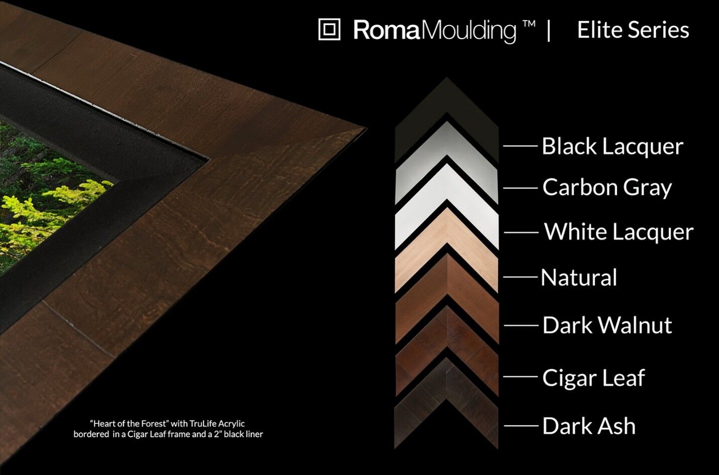 ROMA Elite Series frame corner in Cigar Leaf with a black liner, shown with the seven available finishes: Black Lacquer, Carbon Gray, White Lacquer, Natural, Dark Walnut, Cigar Leaf, and Dark Ash.