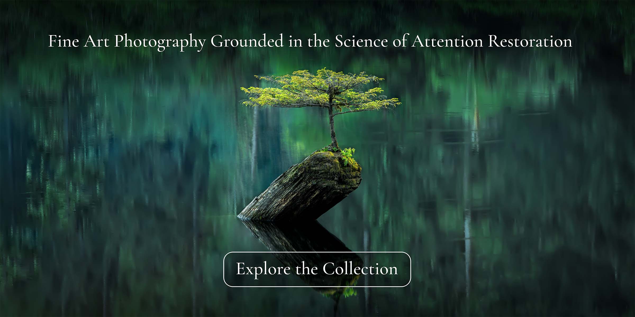 Home Page CTA Home Page CTA