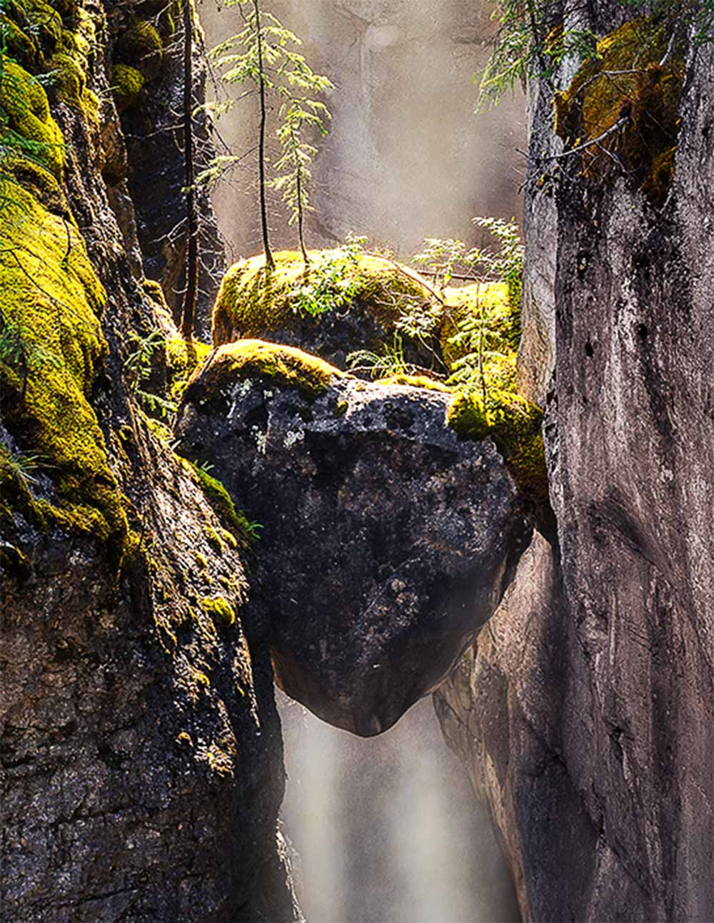 Detail at full resolution showing the heart-shaped chockstone wedged between the canyon walls, with moss and small conifers on its upper surface and the waterfall dropping beneath it.