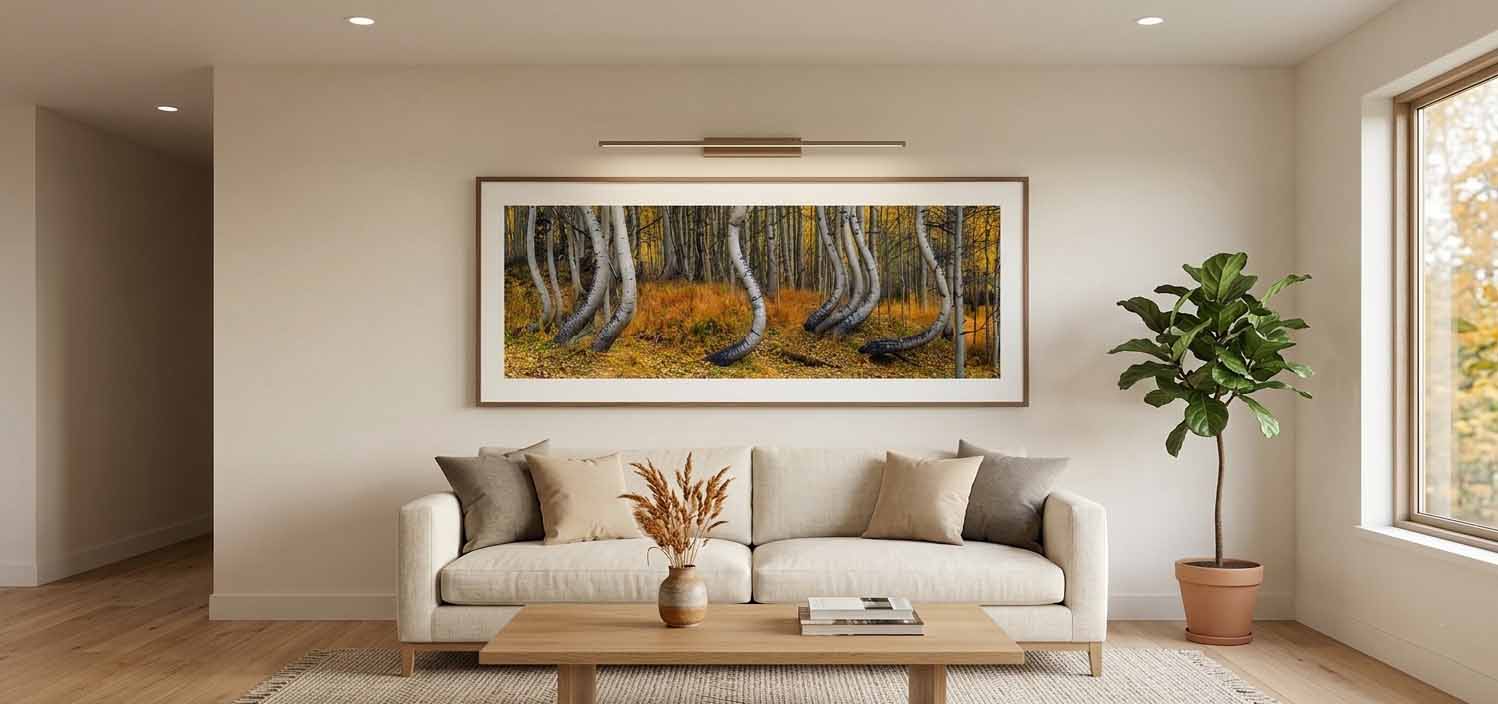 Curved aspen trunks in an autumn grove near Telluride, Colorado, framed in dark wood with a wide white mat above a pale sofa in a quiet living room.