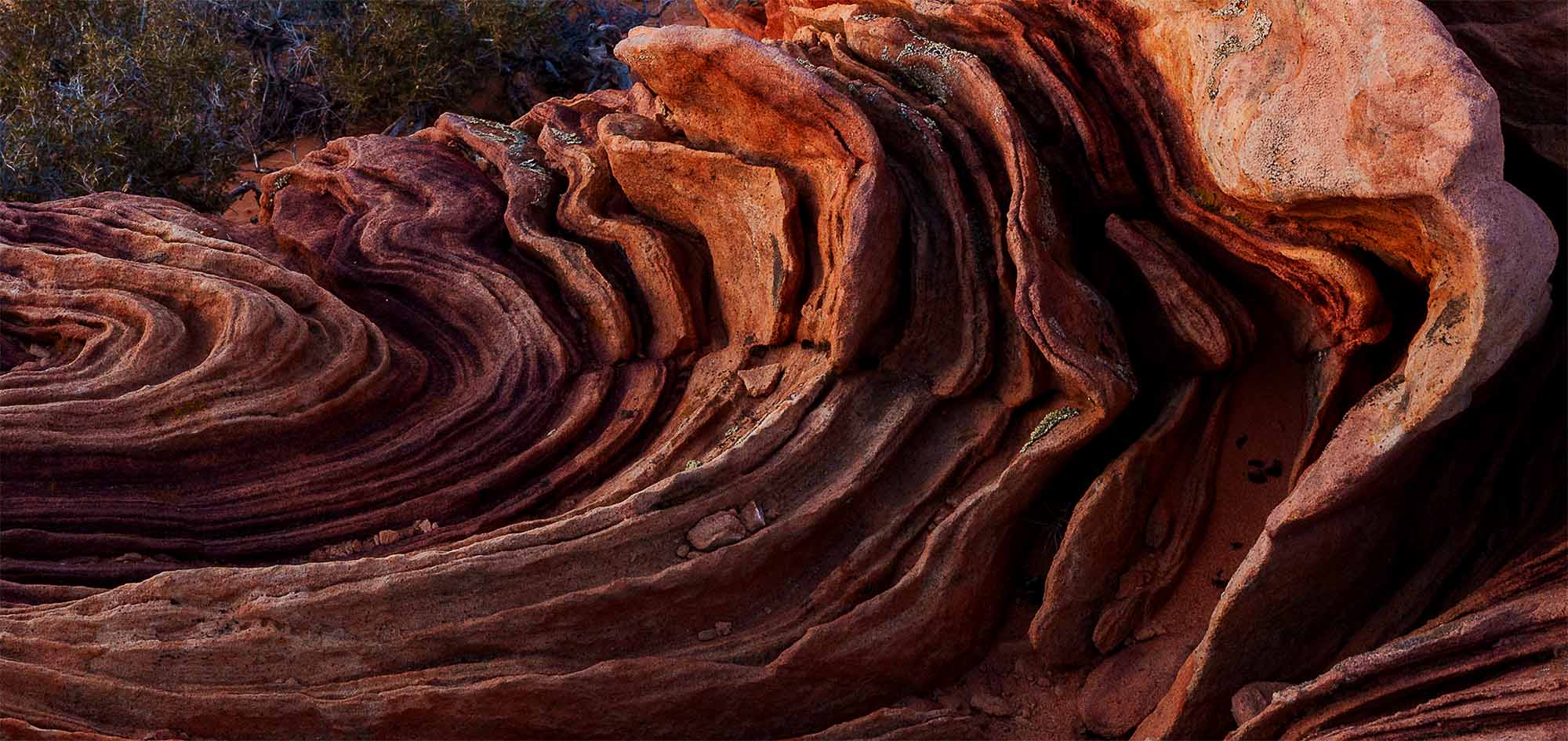 Detail of the folded Navajo Sandstone at full resolution, showing individual cross-bedded layers curving through the rock.