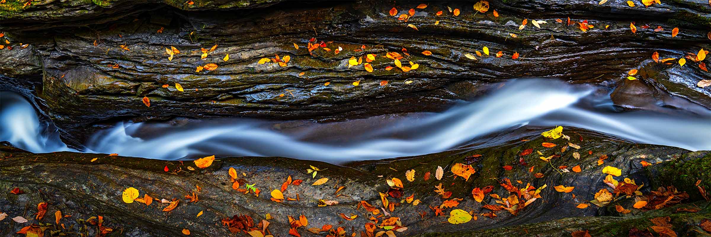 Finding the Way ARTIST’S STORY Water does not force anything. It does not attack the rock or demand passage or exhaust itself against surfaces that will not yield. It simply moves, soft and unhurried and completely committed, until it finds the opening that was always there. And then it flows through with a grace that makes the whole journey look inevitable. I found this scene on an autumn day when the leaves had let go of the trees and settled onto the layered rock in every shade of orange and red and gold, as if the forest had decorated the stage for exactly this moment. The water threaded through the crack in the stone below me, a long exposure collapsing its movement into something between silk and smoke, and I stayed with it for a long time before I raised the camera. What held me was not the color, though the color was extraordinary. It was the quality of the water's movement. Soft. Persistent. Entirely without doubt. It had found its way through solid rock not by being harder than the rock but by being more patient, more willing to follow the available path rather than insist on a path of its own choosing. There is a way of moving through life that this image understands completely. It is not the way of force or rigidity or the exhausting insistence that things should be different than they are. It is softer than that and stronger than that simultaneously. It is the willingness to remain in motion, to stay curious about what openings might exist, to trust that persistence and patience together will find a passage through even the most unyielding surfaces. We spend so much energy hardening ourselves against difficulty, building resistance into our posture and our thinking, when the water has known all along that softness and persistence together are more powerful than anything solid. The rock does not defeat the water. The water simply outlasts the rock. Finding the Way is for anyone who has ever felt blocked, rerouted, or slowed by something that seemed immovable. Keep moving. Stay soft. The opening is there. Limited Fine Art Edition Each image is released in limited editions, with edition size set by presentation and scale, so the most substantial works remain the most rare.